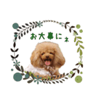 アッちゃんスタンプ（個別スタンプ：2）