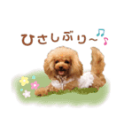 アッちゃんスタンプ（個別スタンプ：3）