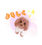 アッちゃんスタンプ（個別スタンプ：11）