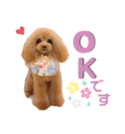 アッちゃんスタンプ（個別スタンプ：12）