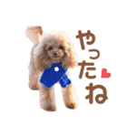 アッちゃんスタンプ（個別スタンプ：13）
