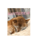 ジュジュの気持ち（個別スタンプ：1）