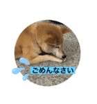 ジュジュの気持ち（個別スタンプ：4）