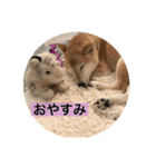 ジュジュの気持ち（個別スタンプ：5）