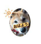 ジュジュの気持ち（個別スタンプ：6）