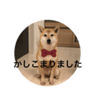 ジュジュの気持ち（個別スタンプ：8）