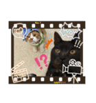 S.アニマルスタンプ（個別スタンプ：28）