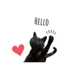 黒猫レオ詰め合わせꫛꫀꪝ✧‧˚（個別スタンプ：3）