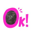 黒猫レオ詰め合わせꫛꫀꪝ✧‧˚（個別スタンプ：7）