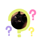 黒猫レオ詰め合わせꫛꫀꪝ✧‧˚（個別スタンプ：8）