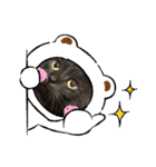 黒猫レオ詰め合わせꫛꫀꪝ✧‧˚（個別スタンプ：14）