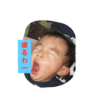 sakotan（個別スタンプ：5）