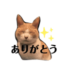 Freddieのスタンプ（個別スタンプ：4）