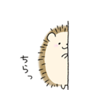ふつうのハリネズミ（個別スタンプ：15）