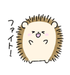 ふつうのハリネズミ（個別スタンプ：20）