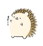 ふつうのハリネズミ（個別スタンプ：34）
