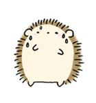 ふつうのハリネズミ（個別スタンプ：38）