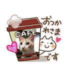 白猫しらすとお花スタンプ（個別スタンプ：7）