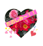 白猫しらすとお花スタンプ（個別スタンプ：11）
