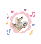 ぷりちゃんpurin（個別スタンプ：3）
