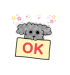 毎日❤️黒トイプードルと一緒（個別スタンプ：5）