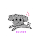 毎日❤️黒トイプードルと一緒（個別スタンプ：11）