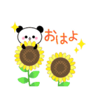 可愛いパンダのパンちゃん【夏】（個別スタンプ：1）