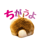 うさぎのニコ(夫婦の会話)（個別スタンプ：5）