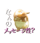 うさぎのニコ(夫婦の会話)（個別スタンプ：16）