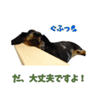 こむすきの日常で使えるスタンプ（個別スタンプ：2）
