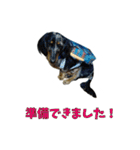 こむすきの日常で使えるスタンプ（個別スタンプ：19）
