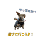 こむすきの日常で使えるスタンプ（個別スタンプ：23）
