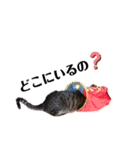 くるぶし先輩withにゃんず2（個別スタンプ：29）