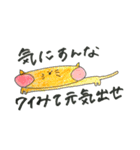 かわいい動物！！！！（個別スタンプ：13）