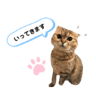 レムりんの1日②（個別スタンプ：2）