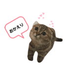 レムりんの1日②（個別スタンプ：3）