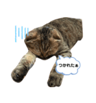 レムりんの1日②（個別スタンプ：5）