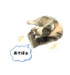 レムりんの1日②（個別スタンプ：8）