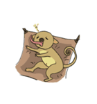 キンカジュー くうちゃん（個別スタンプ：3）