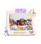 我が家のわんこのれおちぇーるてぃにょん（個別スタンプ：9）