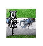 ガチャ山口と愉快な夏野郎（個別スタンプ：36）