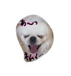 mydey（個別スタンプ：1）