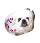 mydey（個別スタンプ：4）