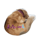 mydey（個別スタンプ：6）