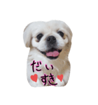 mydey（個別スタンプ：8）
