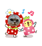 ペルシャ猫の華ちゃん（個別スタンプ：5）