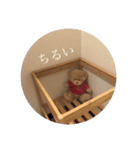 ろどちゃん生活 2ndシーズン（個別スタンプ：13）