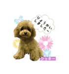 みよん家のわんこ＆にゃんこ ②（個別スタンプ：2）