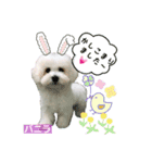 みよん家のわんこ＆にゃんこ ②（個別スタンプ：4）