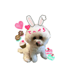 みよん家のわんこ＆にゃんこ ②（個別スタンプ：5）